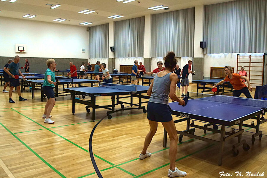Senioren Training 2026